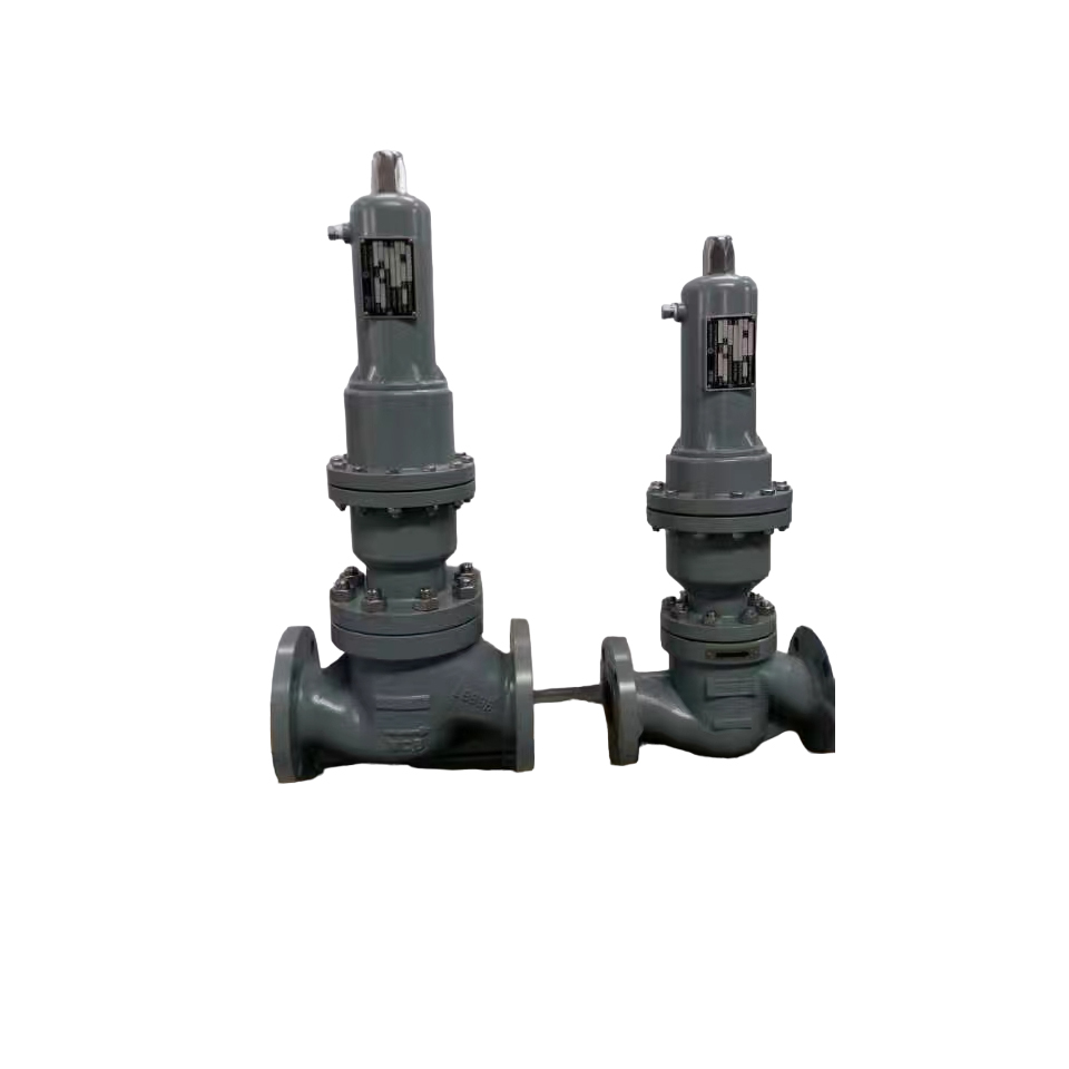 SP6000 (Self-Operated Cage Type Pressure Regulating Valve)